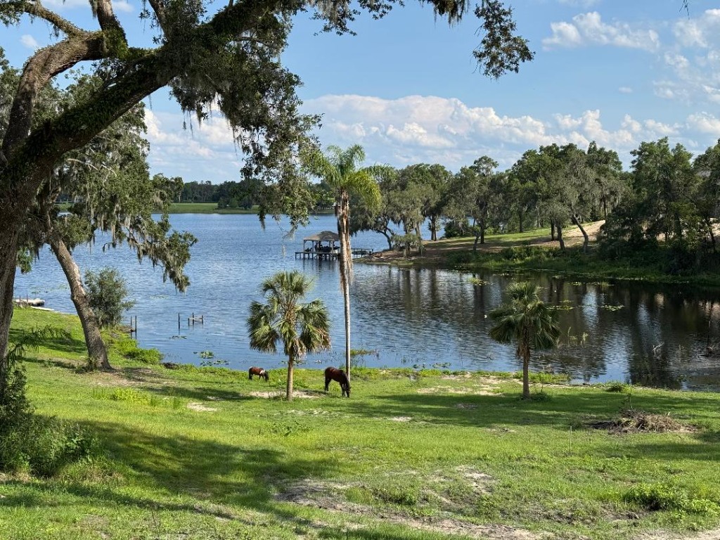 Scenic lakefront at Red Bird Farm