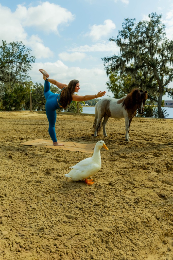 Yoga therapy session at Red Bird Farm with pony and duck